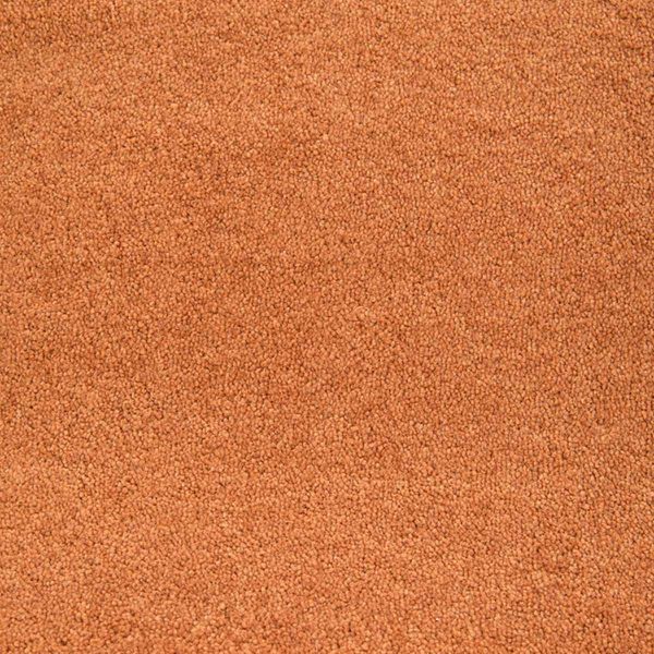 Wall to wall carpet Presciosa 53