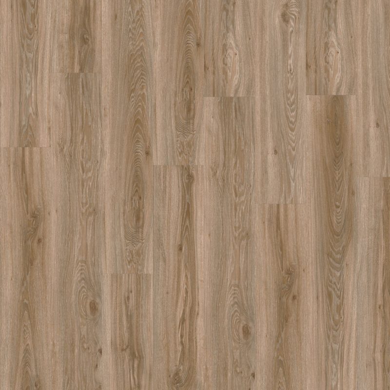 LVT - ROOTS 55 DRY 22229 Blackjack Oak