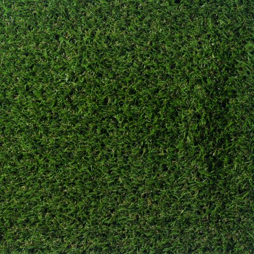 ΓΚΑΖΟΝ FORMENTERA 15