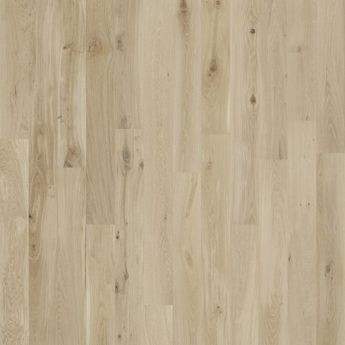 ΠΡΟΓ/ΜΕΝΟ 61001336 1strip – UNIV. AVENA XL LONG ΠΡΟΓ/ΜΕΝΟ 61001336 1strip – UNIV. AVENA XL LONG