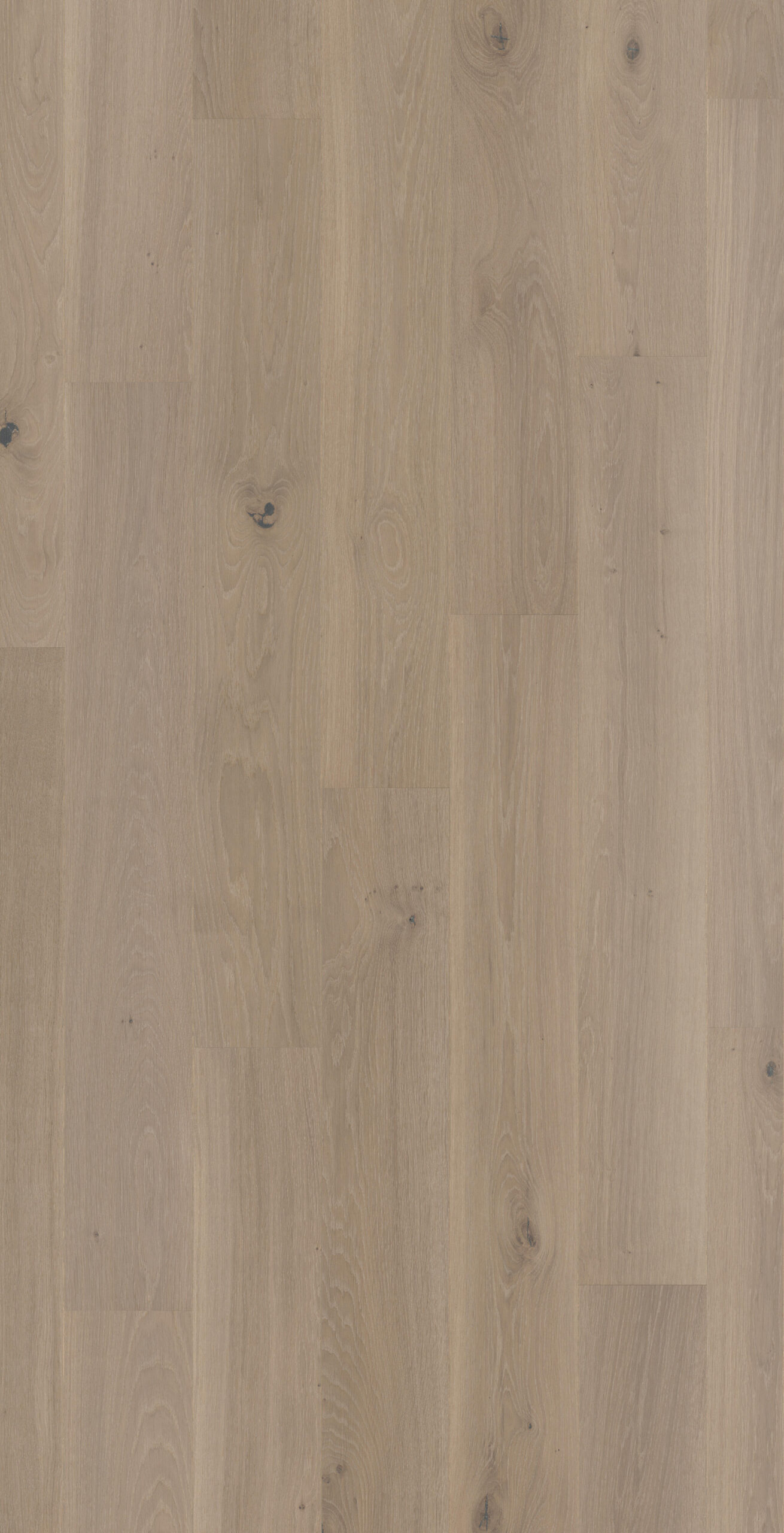 ΠΡΟΓ/ΜΕΝΟ 61001580 1strip – KAOLIN NATUREL 02 XL ΠΡΟΓ/ΜΕΝΟ 61001580 1strip – KAOLIN NATUREL 02 XL