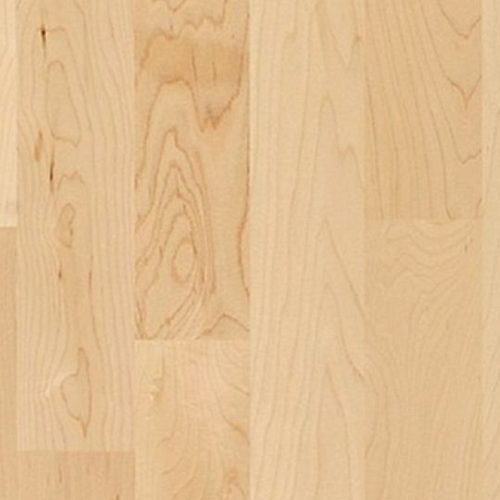 ΠΡΟΓ/ΝΟ MAPLE - 3 STRIPS